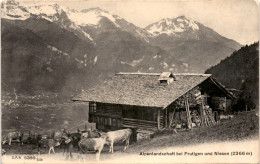 Alpenlandschaft Bei Frutigen Und Niesen (5360) * 28. 8. 1909 - Frutigen