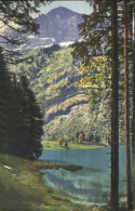 10548812 Naefels Naefels Obersee Rauti Ungelaufen Ca. 1910 Naefels - Andere & Zonder Classificatie