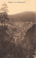 ALLEMAGNE - Tribeerg Von Der Bahnaussicht - Vue Sur Une Partie De La Ville - Carte Postale Ancienne - Triberg