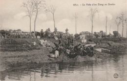 CARTE POSTALE ORIGINALE ANCIENNE : VILLARS LES DOMBES LE VIDAGE D'UN ETANG EN POISSONS PECHE AU FILET ANIMEE AIN (01) - Villars-les-Dombes