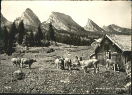 10548496 Alt St Johann Alp Sellamatt  X 1950 Alt St. Johann - Otros & Sin Clasificación