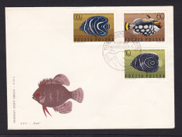 Poland: FDC First Day Cover, 1967, 3 Stamps, Fish, Fishes, Animal (minor Crease) - Lettres & Documents