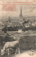 CPA 71 - AUTUN (Saône Et Loire) - 181. La Cathédrale. Vue Prise De Rivault (vache) - Autun