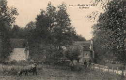 CPA 89 - Moulin De JARCY (Yonne) - 142. La Prairie (vache) - Autres & Non Classés