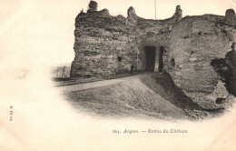 CPA 76 - ARQUES (Seine Maritime) - 164. Entrée Du Château - Dos Simple - Arques-la-Bataille