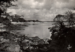 CPSM GF 29 - BEG MEIL (Finistère) - 733. Jolie Petite Crique Près De La Cale - Beg Meil