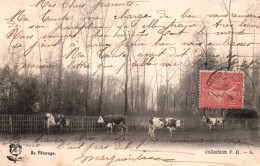 CPA Agricole - Au Pâturage - Coll. P-R-S (troupeau De Vaches) - Breeding