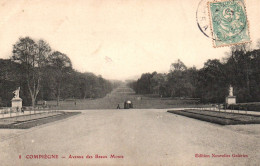 CPA 60 - COMPIEGNE (Oise) -8. Avenue Des Beaux Monts - Compiegne