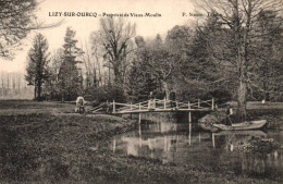 CPA 77 - LIZY-SUR-OURCQ (Seine Et Marne) - Propriété De Vieux-Moulin - Lizy Sur Ourcq