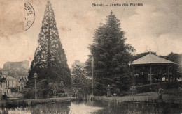 CPA 49 - CHOLET (Maine Et Loire) - Jardin Des Plantes - Cholet