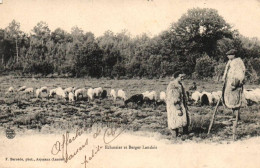 CPA 40 - (Landes) - Echassier Et Berger Landais - Breeding