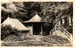 CPA 61 - BAGNOLES DE L'ORNE (Orne) - 320. La Source Des Fées - Bagnoles De L'Orne