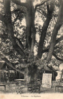 CPA 78 - VILLENNES (Yvelines) - Le Sophora - Villennes-sur-Seine