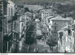 Ah397 Cartolina Segni Corso Vittorio Emanuele Provincia Di Roma - Andere & Zonder Classificatie