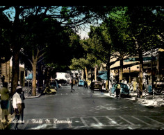 ITALIE - RICCIONE - VIALE M. CECCARINI - Andere & Zonder Classificatie