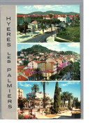 HYERES 83 - Hyères Et Ses Palmiers Avenue De Belgique Vue D'ensemble Jardin Du Lycée - Hyeres