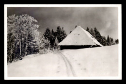 73 - AIX-LES-BAINS -  PLATEAU DU MONT-REVARD SOUS LA NEIGE - Aix Les Bains