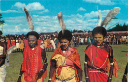 Kenya - Kikuyu Dancers - Folklore Scènes Et Types - CPM 14 X 9 Cms - Carte Neuve - Voir Scans Recto-Verso - Kenya