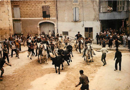 Corrida - Une Abrivade En Camargue - Chevaux - Carte Neuve - CPM - Voir Scans Recto-Verso - Corrida