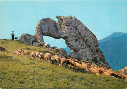 Animaux - Moutons - Les Alpes Touristiques - Alpage à La Roche Percée, Une Des Sept Merveilles Du Dauphiné - CPM - Carte - Otros & Sin Clasificación