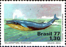 Brésil Poste N** Yv:1262 Mi:1597 Balaenoptera Musculus - Nuevos
