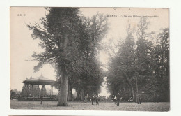 35 . RENNES . L'ALLEE DES CHENES . JARDIN PUBLIC. 1910 - Rennes