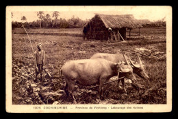 VIET-NAM - COCHINCHINE - PROVINCE DE VINHLONG - LABOURAGE DES RIZIERES - BOEUFS ATTELES - Viêt-Nam