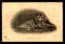 VIET-NAM - COCHINCHINE - JEUNE TIGRE - Vietnam