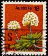 Australie Poste Obl Yv: 576 Mi:591 Helichrysum Thomsonii (Obl.mécanique) - Autres & Non Classés