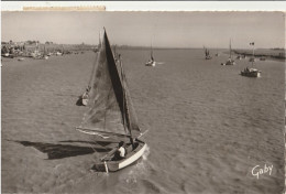 L'AIGUILLON - LA FAUTE Sur MER - CPSM : Le Port - Autres & Non Classés