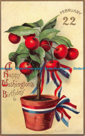 R107457 Greetings. A Happy Washingtons Birthday. Cherry Tree - Monde