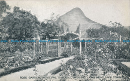 R107469 Rose Garden. Municipal Gardens. Showing Lions Head. Cape Town - Monde