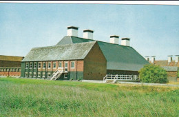 Maltings Concert Hall, Snape, Aldeburgh, Suffolk- Unused Postcard - SUF3 - Otros & Sin Clasificación