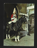 London Mounted Sentry Horse Guards Pferd Paard Cheval Photo Carte Htje - Chevaux