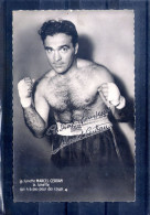 Marcel Cerdan. Cpsm Petit Format - Boksen