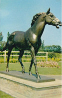 Statue Of Chamossaire, Newmarket, Suffolk- Unused Postcard - National Series - SUF1 - Andere & Zonder Classificatie