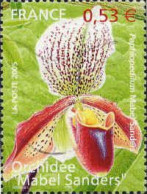 France Poste Obl Yv:3763 Mi:3914 Orchidée Paphiopedilum (Lign.Ondulées) (Thème) - Orchidées