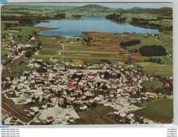 Seekirchen Am Wallersee - Luftbild 1968 - Seekirchen Am Wallersee
