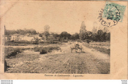 D88  Environs De Contrexéville  LIGNEVILLE - Andere & Zonder Classificatie