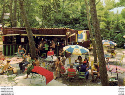 D83  GIENS  La Madrague  Centre Léo Lagrange Le Bar Et Le Mini Drugstore Sous La Pinède - Hyeres