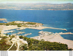 D83 LES EMBIEZ  Vue A?rienne Sur L'Ile - Six-Fours-les-Plages