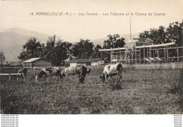 D06  MANDELIEU  Les Termes - Les Tribunes Et Le Champ De Course - Autres & Non Classés