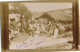 GORICA - CARTE PHOTO - EPLUCHAGES DES HARICOTS - Croatie