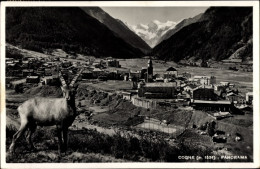 CPA Cogne Aostatal, Gesamtansicht - Otros & Sin Clasificación