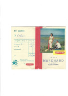 Photo  "Marchand"  Haine St. Pierre - Collections