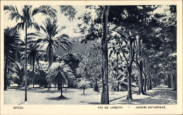 CPA Rio De Janeiro Brasilien, Jardim Botanique, Botanischer Garten - Other