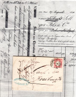 DR 1874, Hufeisen Stpl. MÜHLHAUSEN I. ELSASS Auf Brief M. 1 Gr. Gr. Brustschild  - Covers & Documents