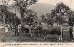 4V5Vo   73 Bourg Saint Maurice Le Maché Aux Bovins Spécimen De La Race Tarine - Bourg Saint Maurice