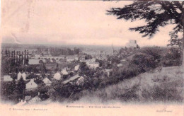 41 - Loir Et Cher -  MONTRICHARD  - Vue Prise Des Hauteurs - Montrichard