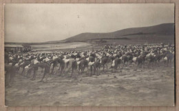 CARTE PHOTO 62 CAMIERS - U.F.A CAMIERS Cie - La Gymnastique Au Camp TB ANIMATION Enfants 1920 - Otros & Sin Clasificación